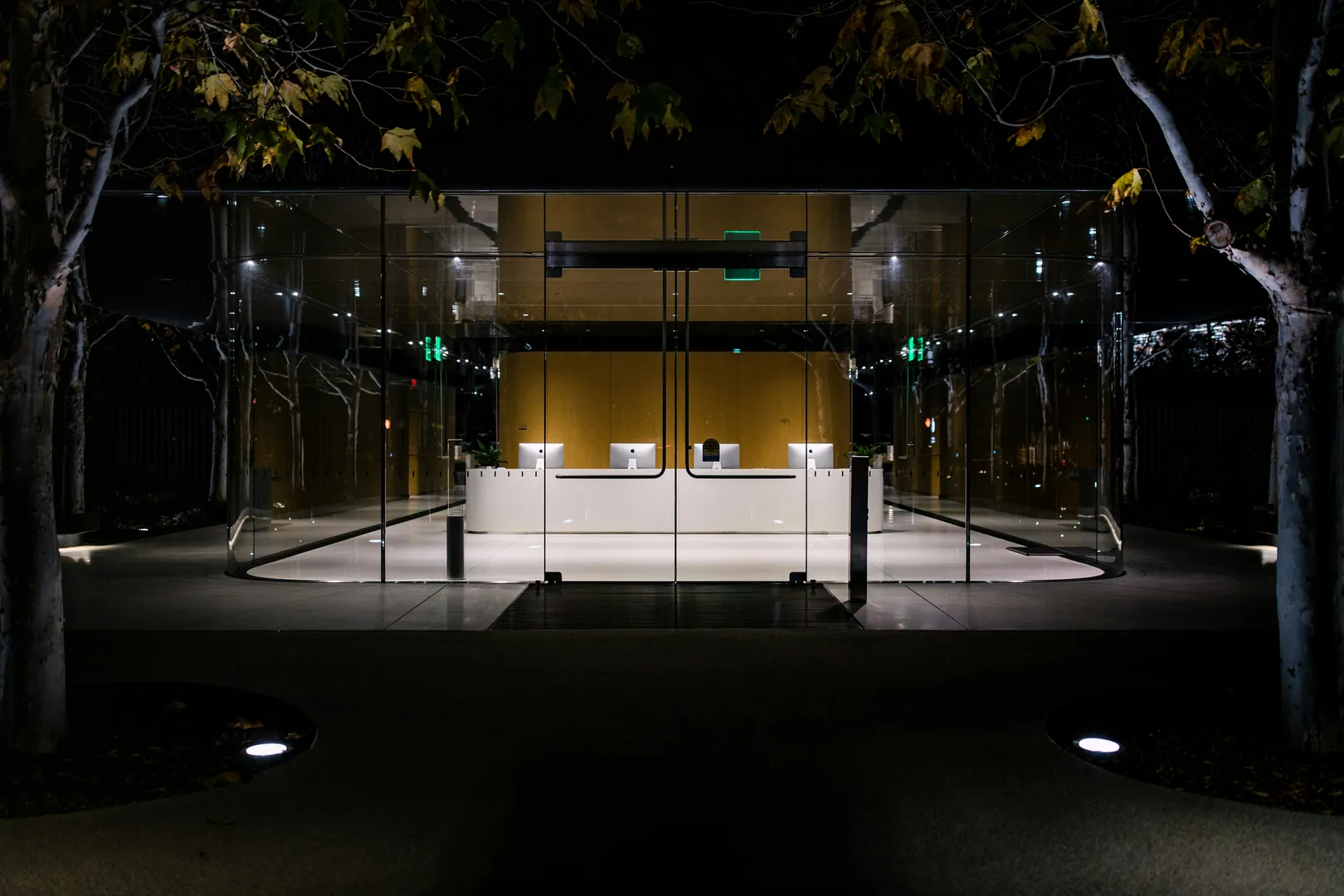 Professional Training